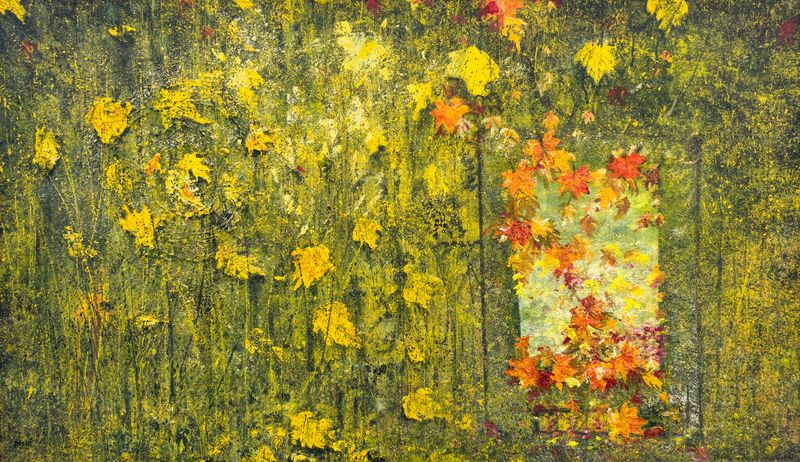 From my Window- I by Arshi